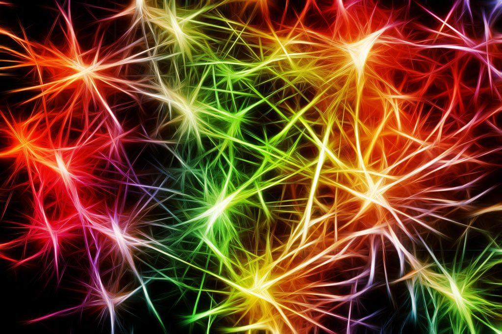 memory, nerves, neural connections